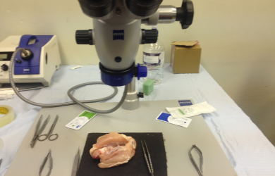 Образовательный центр WETLAB | Базовые навыки микрохирургии